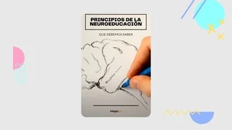 Principios de la neuroeducación que debemos saber